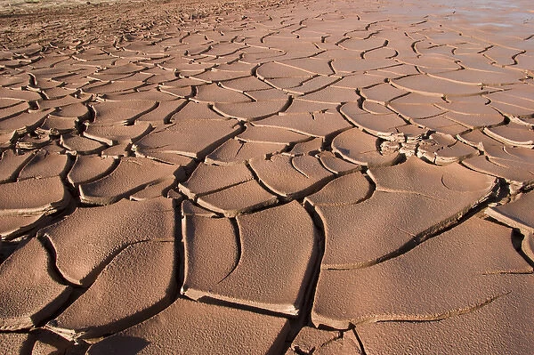 Cracked mud in desert during drought, Navajo reservation, near Seba Dalkai, Arizona