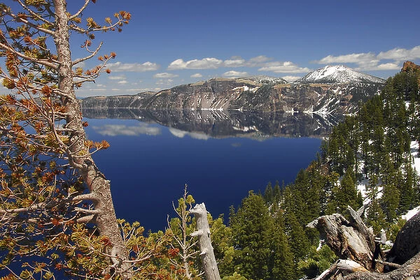 Crater Lake from the Rim, Crater Lake National Park, Oregon, USA