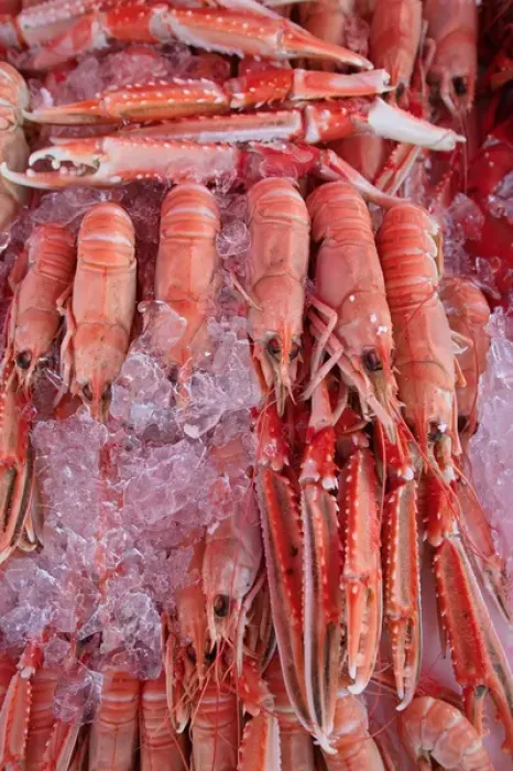 Framed Print : Crayfish, Bergens Fish Market Framed Print : Crayfish, Bergens Fish Market