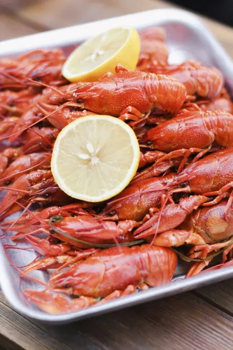 Framed Print : Crayfish close-up