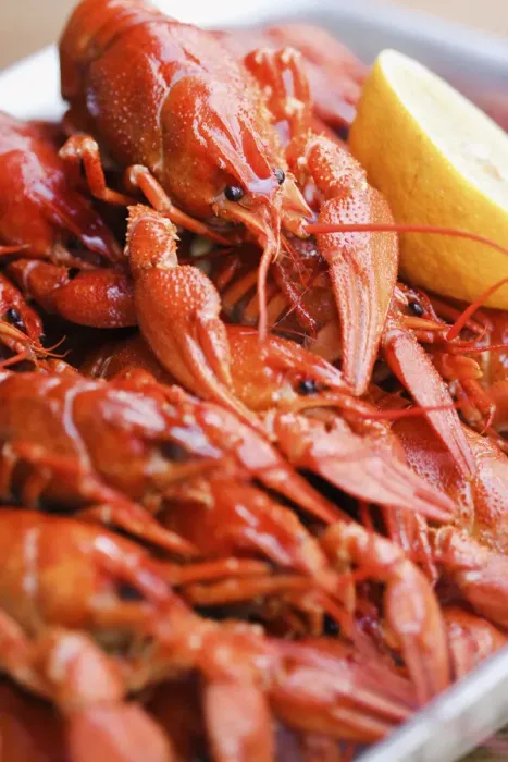 Framed Print : Crayfish close-up Framed Print : Crayfish close-up