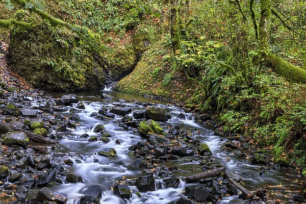 Creek below Bridalveil Falls. Columbia River Gorge. Oregon. USA