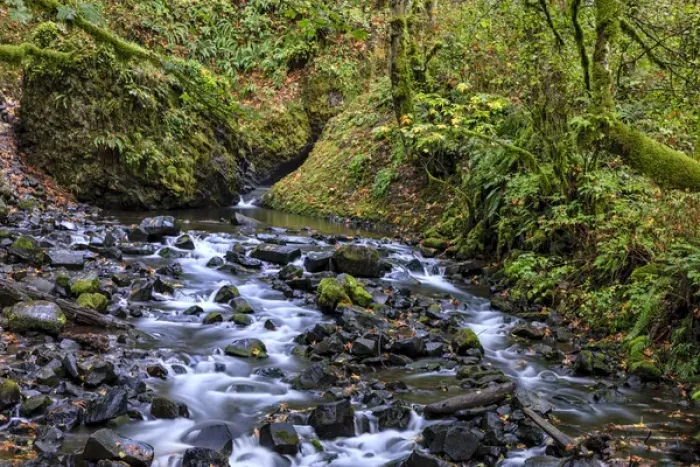 Framed Print : Creek below Bridalveil Falls. Columbia River Gorge. Oregon. USA Framed Print : Creek below Bridalveil Falls. Columbia River Gorge. Oregon. USA