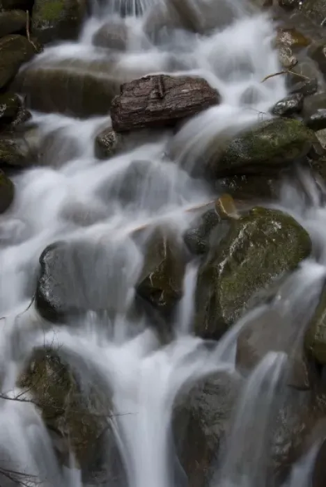 Framed Print : Creek Detail on Sol Duc Falls Trail, Olympic National Park, Washington, US