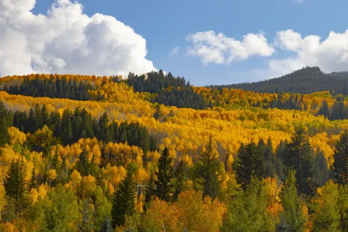 Framed Print : Two Creeks area of Aspen Snowmass ski resort in autumn Framed Print : Two Creeks area of Aspen Snowmass ski resort in autumn