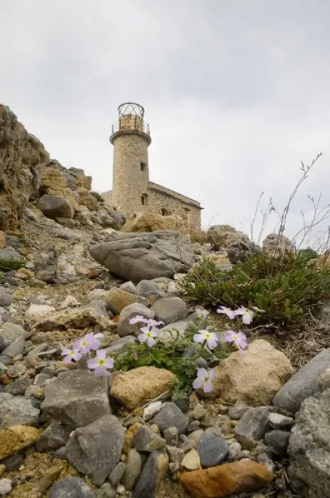 Framed Print : Crete. Greece. Europe. Derelict lighthouse above blooming phlox at Cape Agios Ioannis Framed Print : Crete. Greece. Europe. Derelict lighthouse above blooming phlox at Cape Agios Ioannis