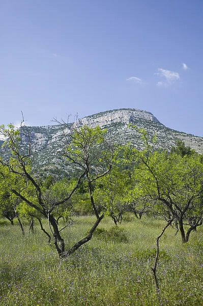 CROATIA, Central Dalmatia, BRAC ISLAND, BOL. Mountain Landscape