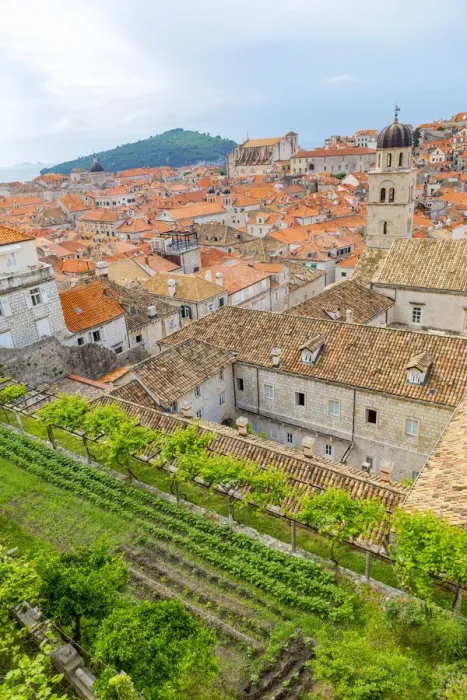 Framed Print : Croatia, Dubrovnik. Overview of walled city and garden Framed Print : Croatia, Dubrovnik. Overview of walled city and garden