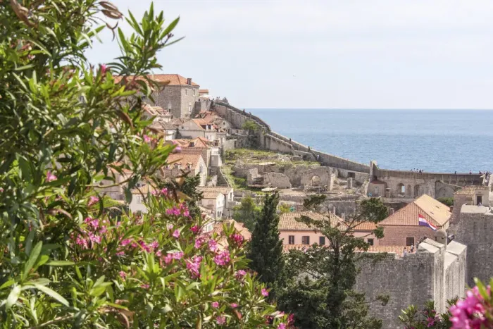 Framed Print : Croatia, Dubrovnik. Walled city old town viewed from hill. Blooming oleander frames Framed Print : Croatia, Dubrovnik. Walled city old town viewed from hill. Blooming oleander frames