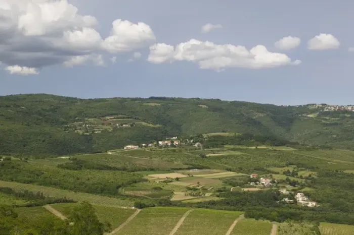 Framed Print : CROATIA, Istria, MOTOVUN. Surrounding landscape from MOTOVUN hill town
