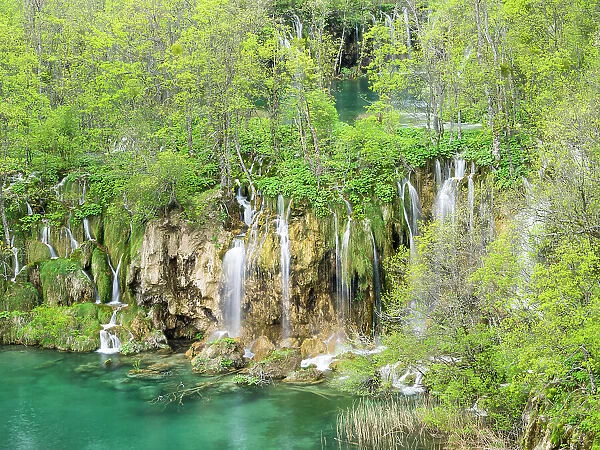 Croatia, Plitvice Lakes National Park. The Plitvice Lakes in the National Park Plitvicka Jezera in Croatia. The lakes are a UNESCO Would Heritage Site