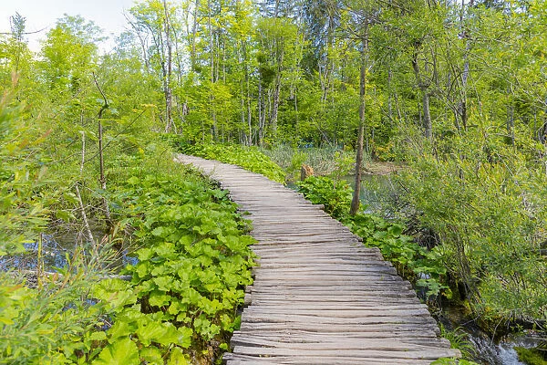 Croatia, Plitvice National Park. Wooden walkway over river