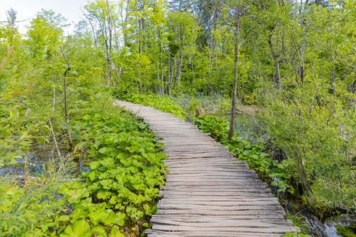 Framed Print : Croatia, Plitvice National Park. Wooden walkway over river Framed Print : Croatia, Plitvice National Park. Wooden walkway over river