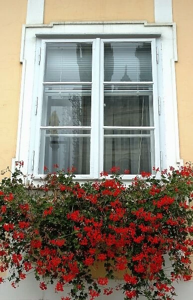 Croatia, Zagreb, Lower Town, flowers in window box
