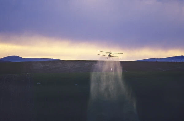 Crop duster airplane applies chemicals to wheat crop at sunset near Kendrick Idaho