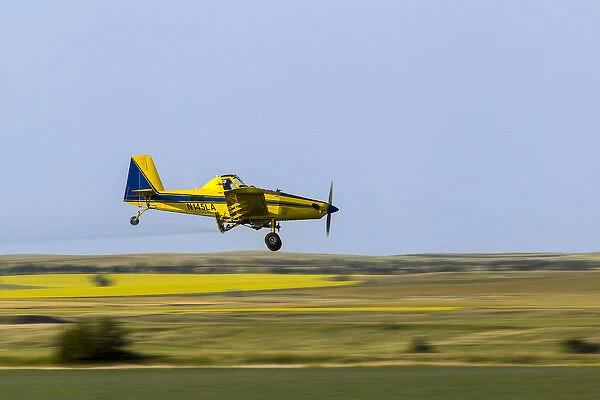 Crop Duster airplane spraying flax filed for grasshoppers near Mott, North Dakota, USA