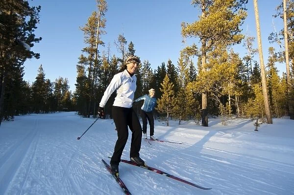Cross country skiers on the Rendezvous ski trails in West Yellowstone, Montana, USA (MR)