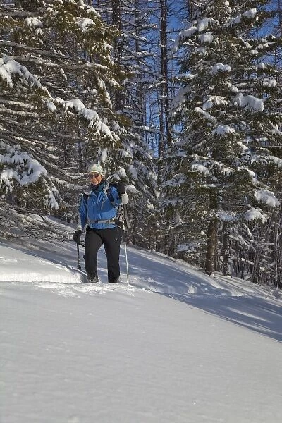 Cross country skiing on rocky Point in Glacier National Park in Montana (MR)