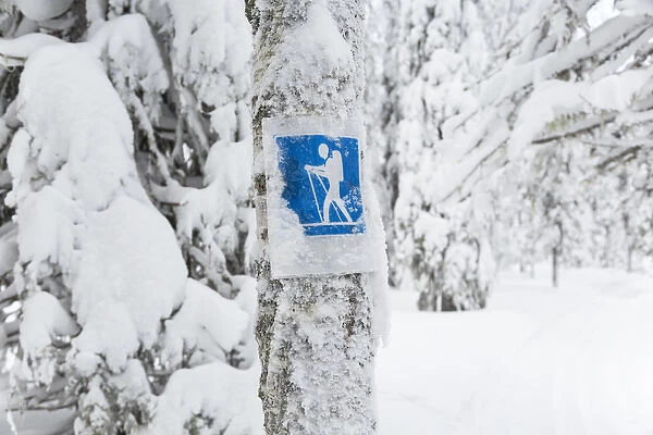 Cross country skiing sign, Riisitunturi National Park, Lapland, Finland