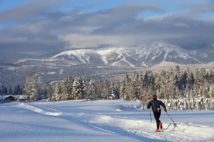 Framed Print : Cross country skiing at Whitefish, Montana, USA Framed Print : Cross country skiing at Whitefish, Montana, USA