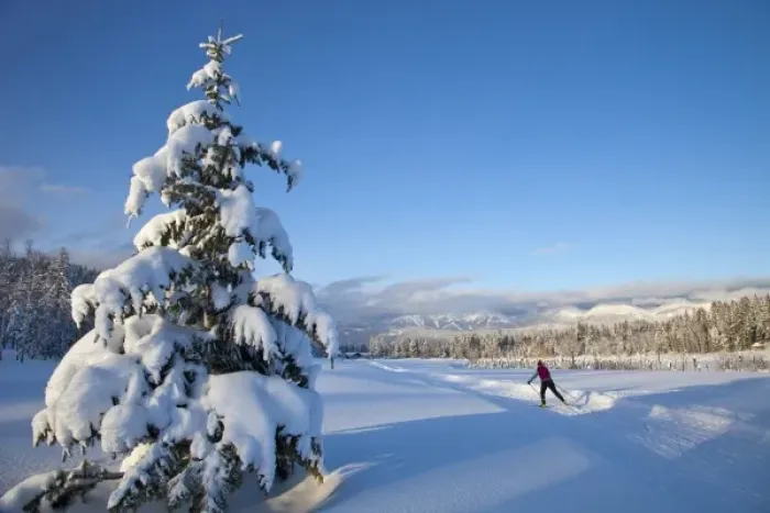 Framed Print : Cross country skiing at Whitefish, Montana, USA