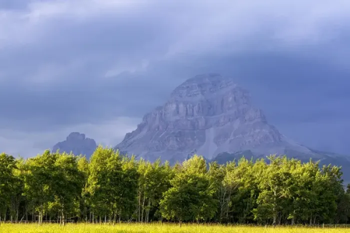 Framed Print : Crowsnest Mountain at Crownest Pass in Alberta, Canada, USA Framed Print : Crowsnest Mountain at Crownest Pass in Alberta, Canada, USA