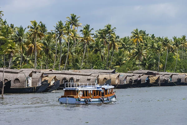 Cruise boats in Backwaters, Kerala, India