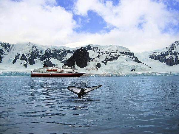 A cruise ship anchored in Neko Harbor, Gerlache Strait, Antarctic Peninsula, Antarctica