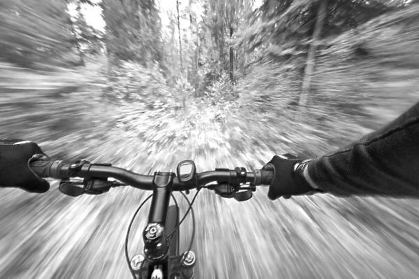 Cruising down a buff section of singletrack trail from the riders perspective near