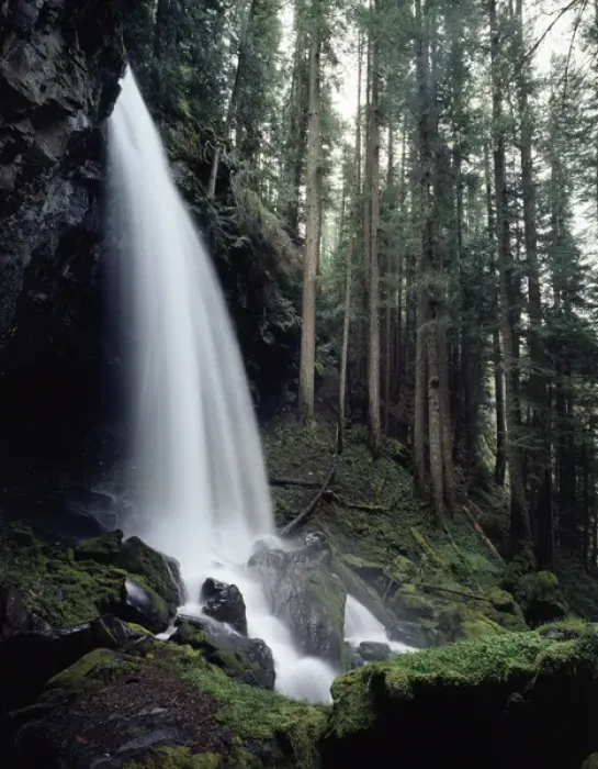 Framed Print : CTF-1007. USA, Oregon, A waterfall in an old-growth forest
