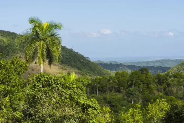 Framed Print : Cuba. Artemisa. Las Terrazas. UNESCO biosphere preserve and eco-community in Framed Print : Cuba. Artemisa. Las Terrazas. UNESCO biosphere preserve and eco-community in