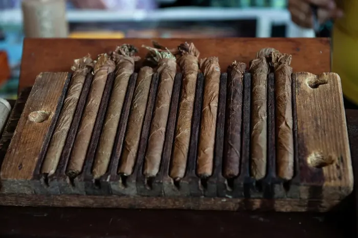 Framed Print : Cuba. Cuban cigars in cigar factory Framed Print : Cuba. Cuban cigars in cigar factory