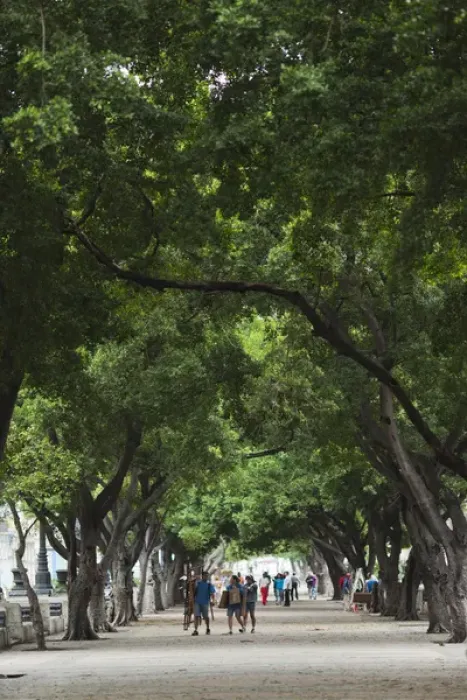 Framed Print : Cuba, Havana, Havana Vieja, Paseo de Marti walkway Framed Print : Cuba, Havana, Havana Vieja, Paseo de Marti walkway