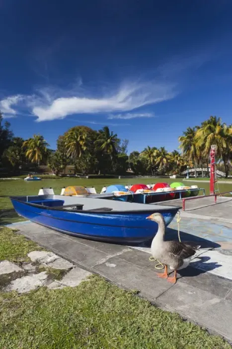 Framed Print : Cuba, Matanzas Province, Varadero, Parque Josone park Framed Print : Cuba, Matanzas Province, Varadero, Parque Josone park