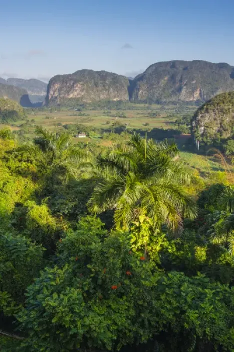 Framed Print : Cuba. Pinar del Rio. Vinales. The Vinales valley in the early morning Framed Print : Cuba. Pinar del Rio. Vinales. The Vinales valley in the early morning