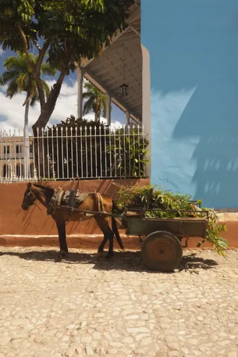 Framed Print : Cuba, Sancti Spiritus Province, Trinidad, Plaza Mayor, horse and wagon Framed Print : Cuba, Sancti Spiritus Province, Trinidad, Plaza Mayor, horse and wagon