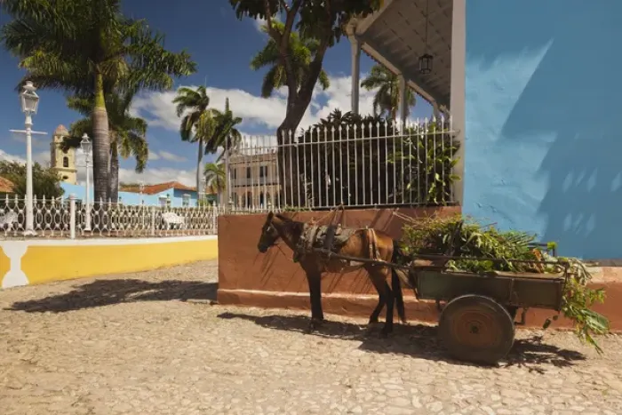 Framed Print : Cuba, Sancti Spiritus Province, Trinidad, Plaza Mayor, horse and wagon Framed Print : Cuba, Sancti Spiritus Province, Trinidad, Plaza Mayor, horse and wagon