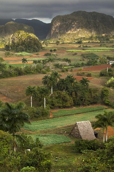Cuba, Vinales. An elevated view over the valley and its fields and farms