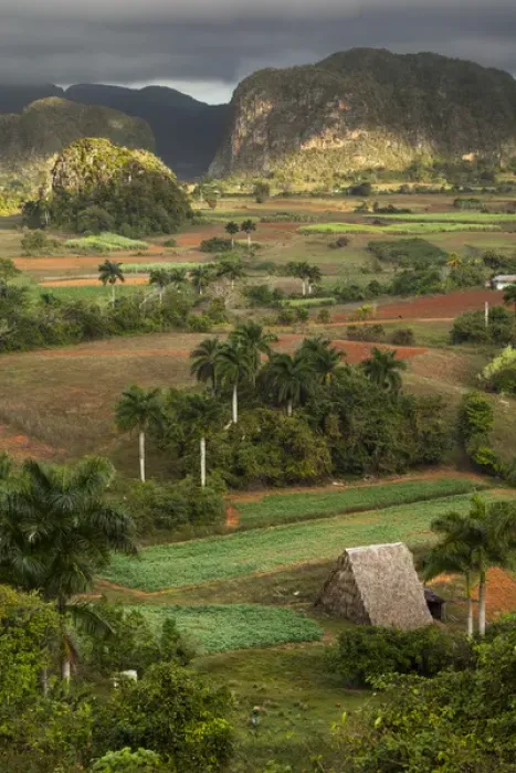 Framed Print : Cuba, Vinales. An elevated view over the valley and its fields and farms Framed Print : Cuba, Vinales. An elevated view over the valley and its fields and farms