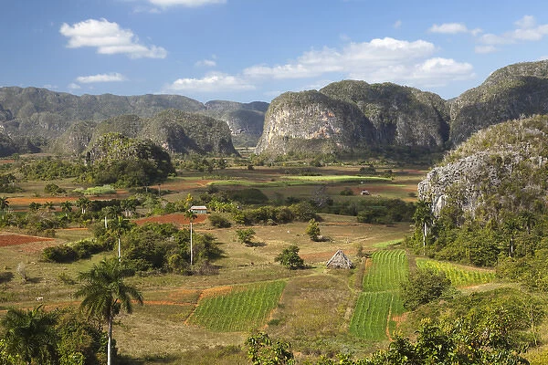 Cuba, Vinales. A view looking over the rich lands of the valley