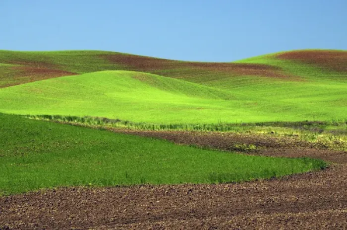 Framed Print : Cultivation Patterns, Palouse, Whitman County, Washington, USA Framed Print : Cultivation Patterns, Palouse, Whitman County, Washington, USA