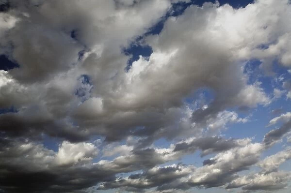 Cumulus cloud pattern, Samburu Game Reserve, Kenya