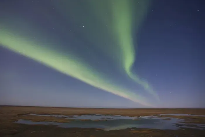 Framed Print : Curtains of colored northern lights (aurora borealis) dance in the night sky over