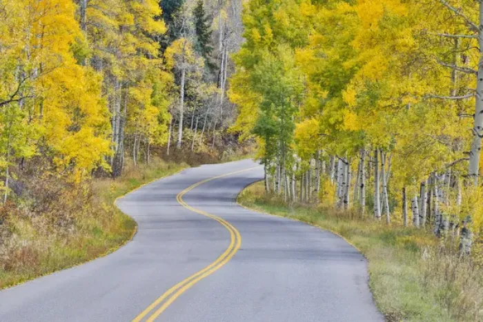 Framed Print : Curved Roadway near Aspen Colorado in autumn colors and aspens groves Framed Print : Curved Roadway near Aspen Colorado in autumn colors and aspens groves