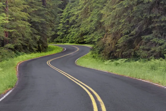 Framed Print : Curving road though lush forest, Olympic National Park, Washington State