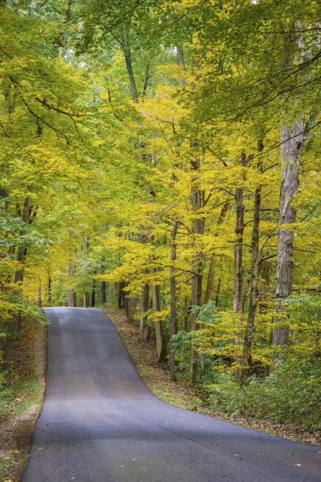 Framed Print : Curvy Road in Clifty Creek Park, Southern Indiana Framed Print : Curvy Road in Clifty Creek Park, Southern Indiana