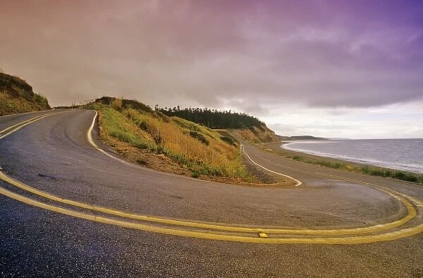 Curvy road leads to Keystone State Park on Whidbey Island, Washington, USA