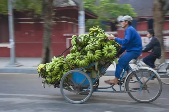 Framed Print : Cyclo loaded with bananas on the street Framed Print : Cyclo loaded with bananas on the street