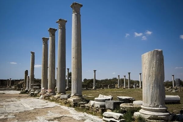 Cyprus, Salamis ruins, ancient Roman town