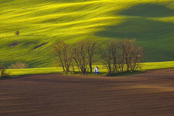Czech Republic, Moravia. Small chapel in trees and field